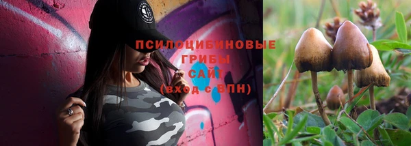 марки nbome Аркадак