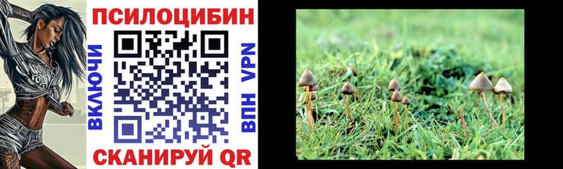 Псилоцибиновые грибы GOLDEN TEACHER  где купить наркотик  Заполярный 